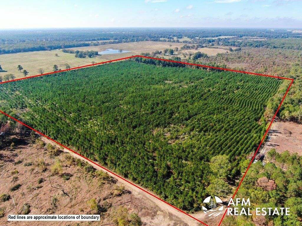 61 Acres of Recreational Land for Sale in Bagwell, Texas