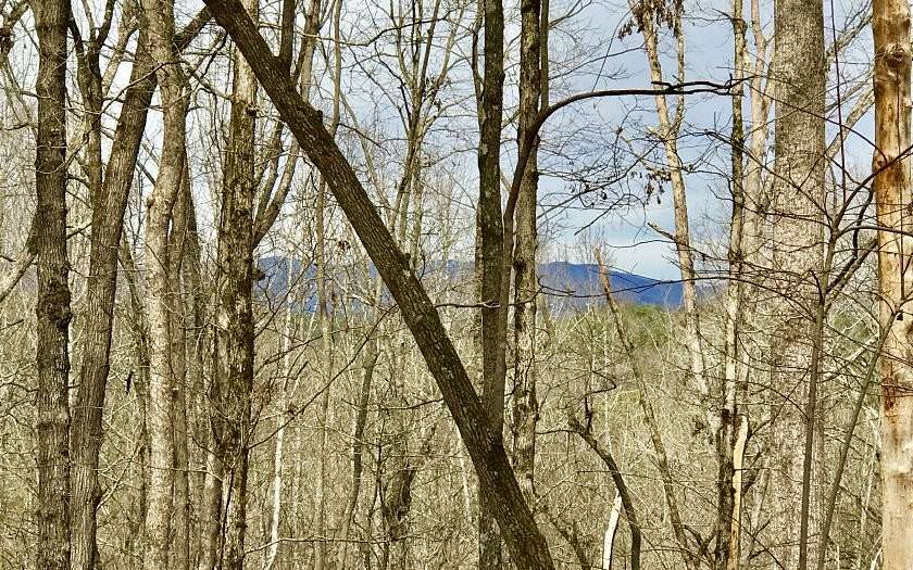 0.63 Acres of Land for Sale in Ellijay, Georgia