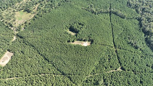 40 Acres of Recreational Land for Sale in Weldon, Louisiana