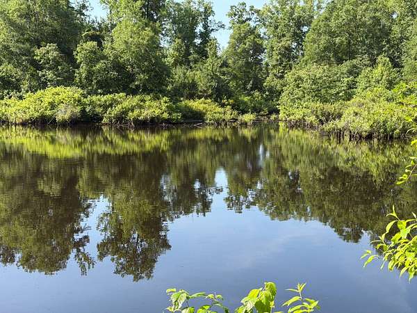 115 Acres of Recreational Land for Sale in Bernice, Louisiana