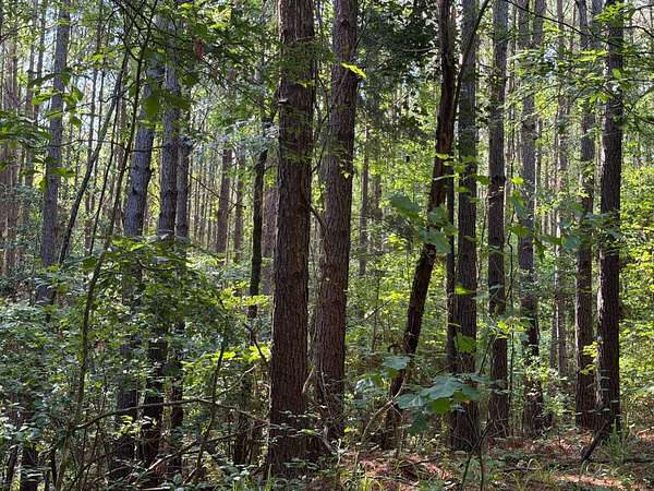 127 Acres of Recreational Land for Sale in Lisbon, Louisiana
