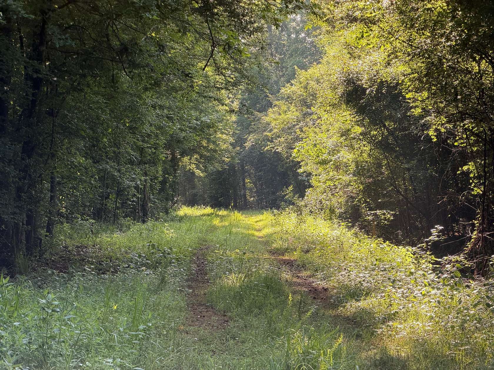 40 Acres of Recreational Land for Sale in Lisbon, Louisiana