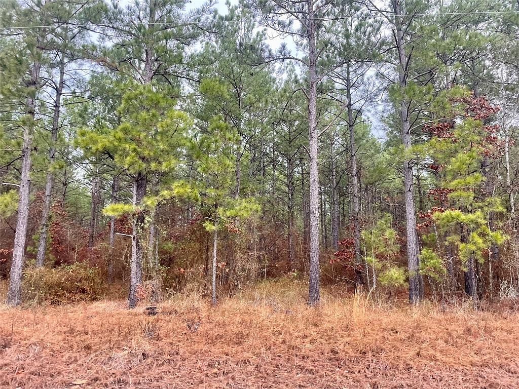 9.9 Acres of Residential Land for Sale in Benton, Louisiana