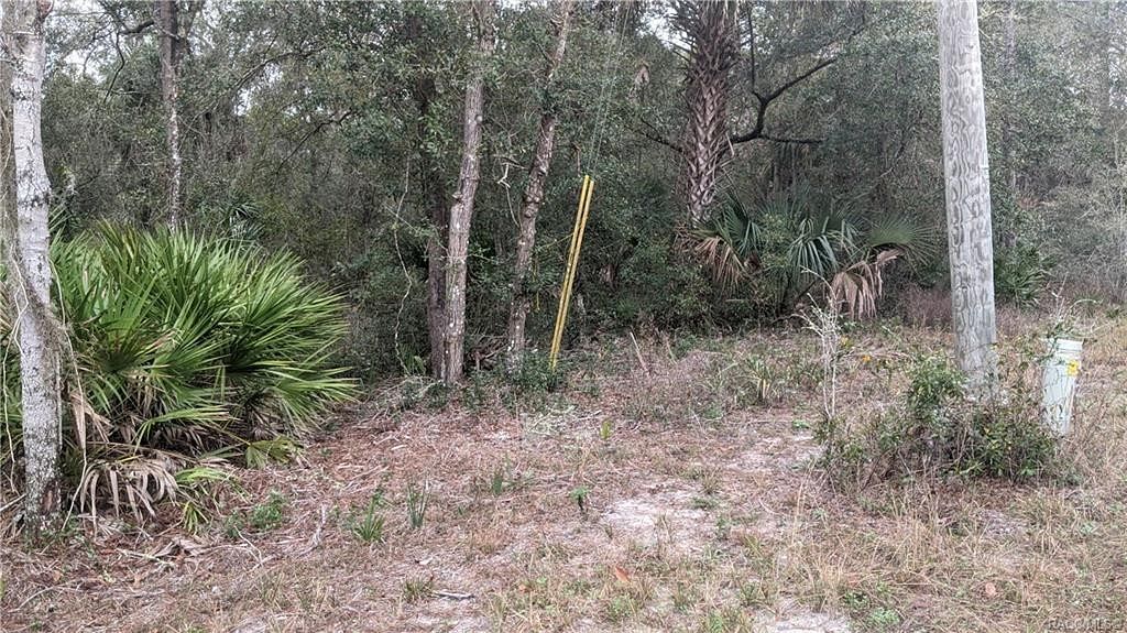26.3 Acres of Land for Sale in Crystal River, Florida