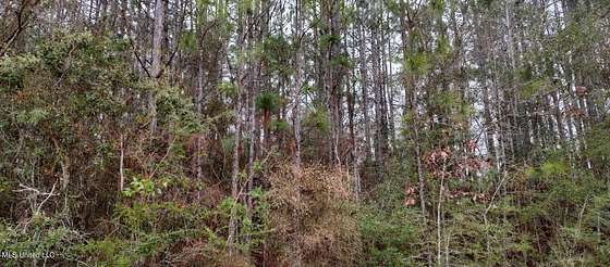 0.25 Acres of Residential Land for Sale in Lumberton, Mississippi