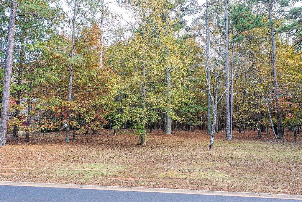 1.1 Acres of Residential Land for Sale in Ninety Six, South Carolina