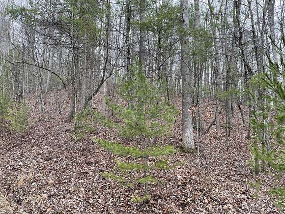 5.6 Acres of Land for Sale in Mountain City, Tennessee