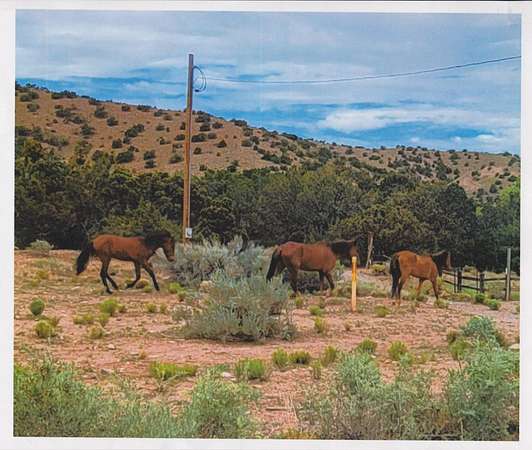 9.6 Acres of Land for Sale in Placitas, New Mexico