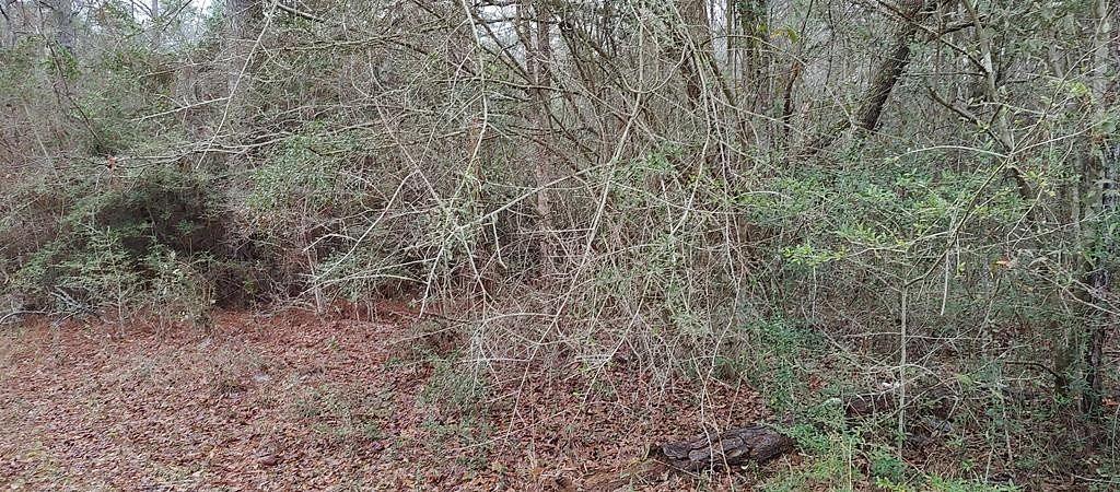 0.26 Acres of Residential Land for Sale in Lumberton, Mississippi