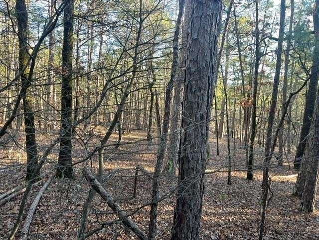 0.35 Acres of Residential Land for Sale in Hot Springs Village, Arkansas