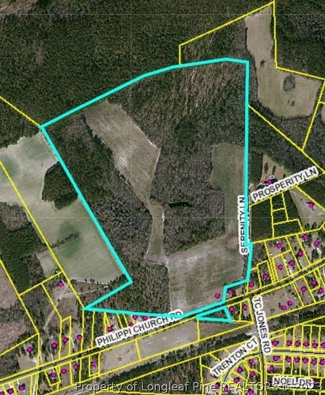 95 Acres of Land for Sale in Raeford, North Carolina