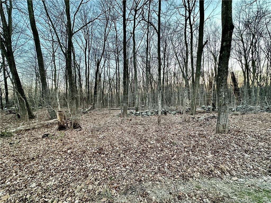 19.5 Acres of Land for Sale in Lebanon, Connecticut