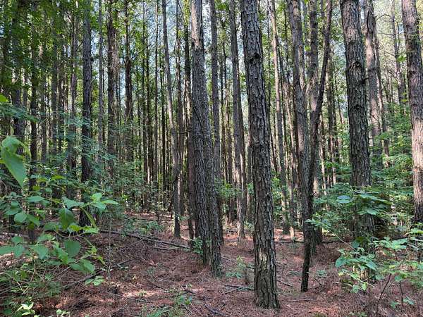 36 Acres of Recreational Land for Sale in Bernice, Louisiana