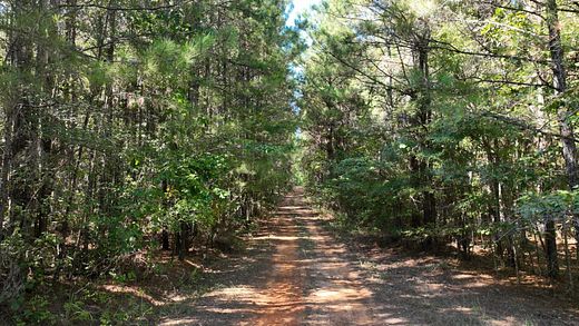 40.5 Acres of Recreational Land for Sale in Weldon, Louisiana