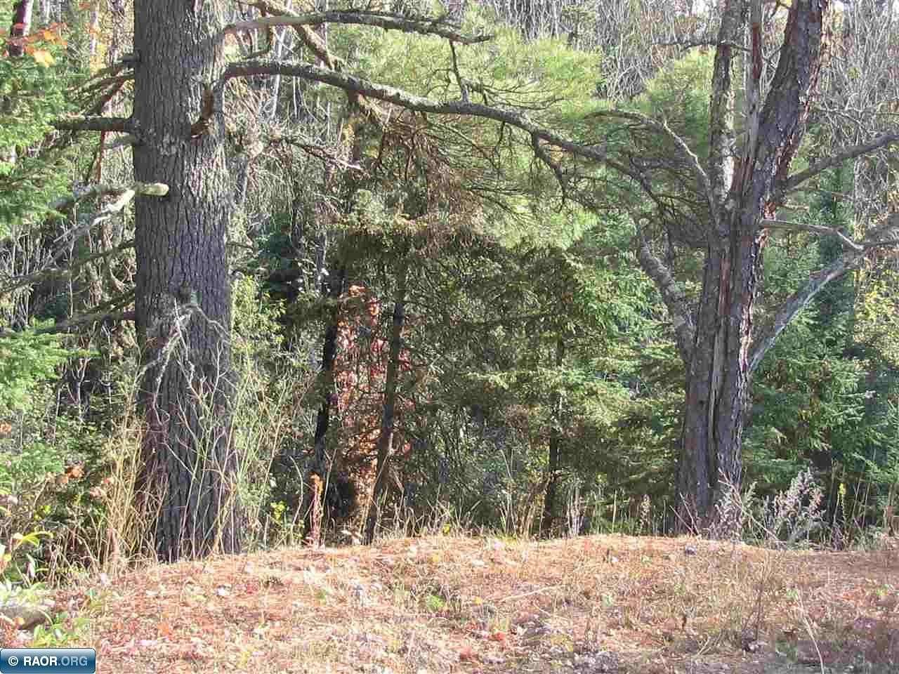 20 Acres of Recreational Land for Sale in Ely, Minnesota