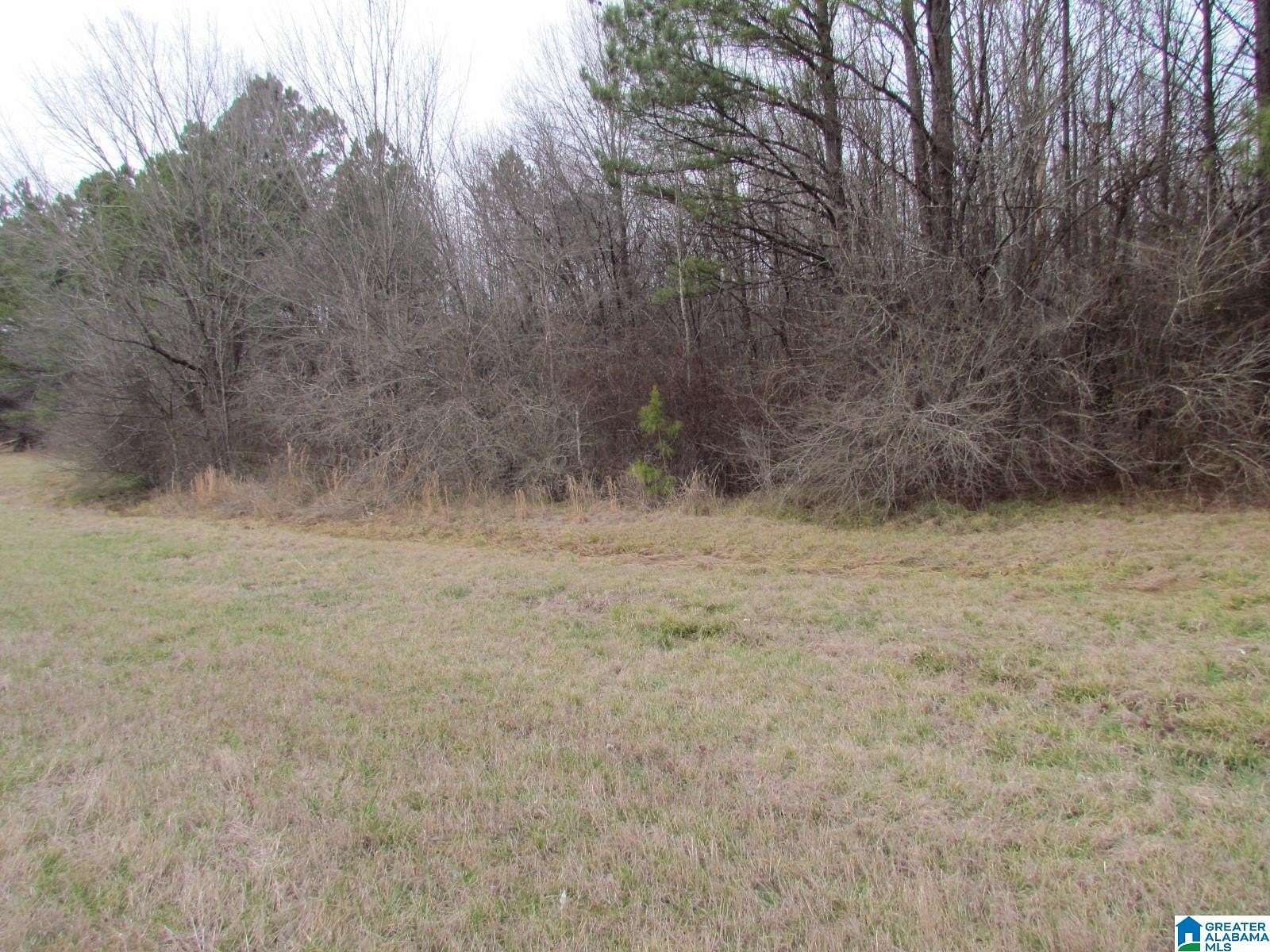 6.2 Acres of Commercial Land for Sale in Harpersville, Alabama
