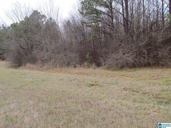 6.2 Acres of Commercial Land for Sale in Harpersville, Alabama