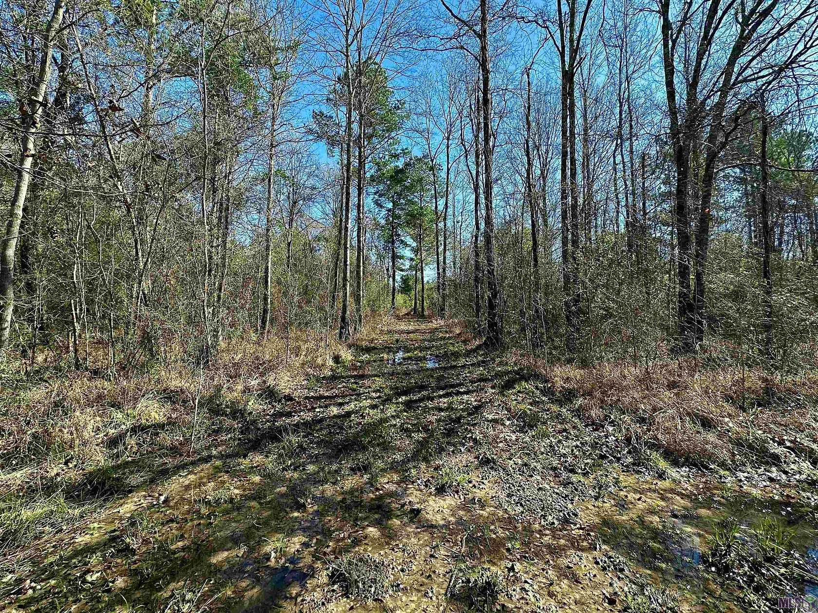19.5 Acres of Land for Sale in Walker, Louisiana