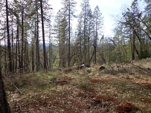 3.5 Acres of Residential Land for Sale in Lakehead, California