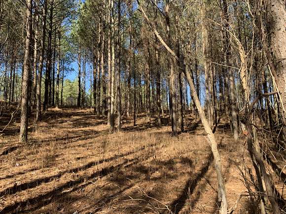 0.84 Acres of Residential Land for Sale in Jasper, Tennessee