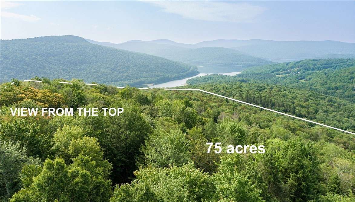 75 Acres of Land for Sale in Andes, New York