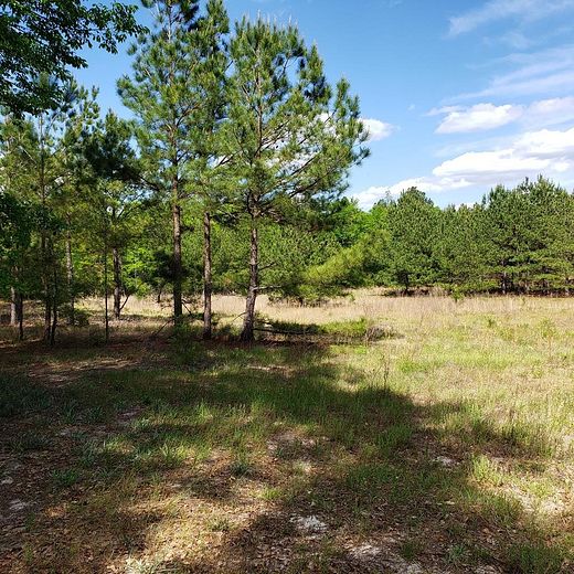 18 Acres of Land for Sale in Ridge Spring, South Carolina