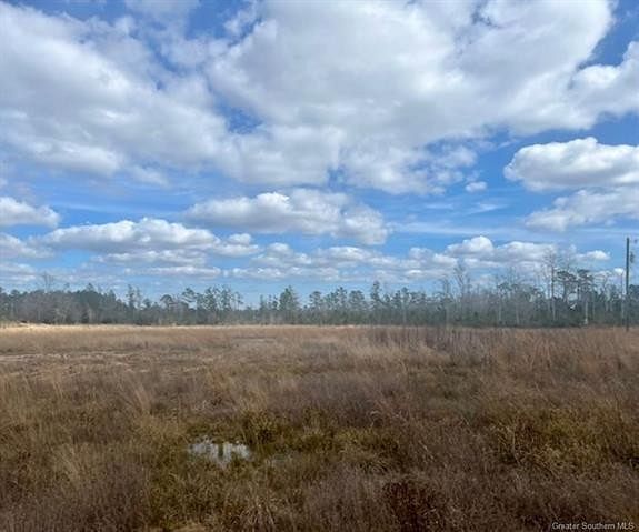 10.1 Acres of Land for Sale in Starks, Louisiana