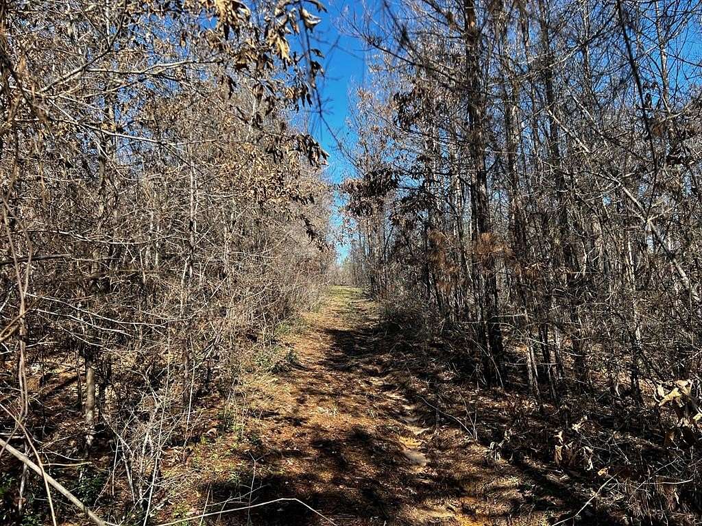 5 Acres of Residential Land for Sale in Corrigan, Texas