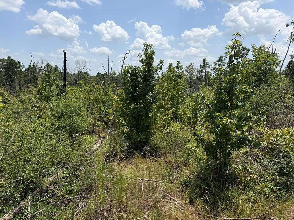 5 Acres of Residential Land for Sale in Corrigan, Texas