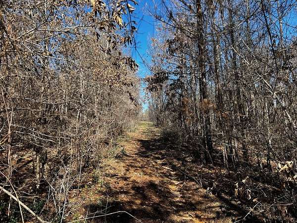 5 Acres of Residential Land for Sale in Corrigan, Texas