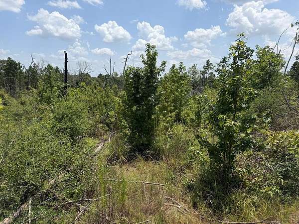 5 Acres of Residential Land for Sale in Corrigan, Texas