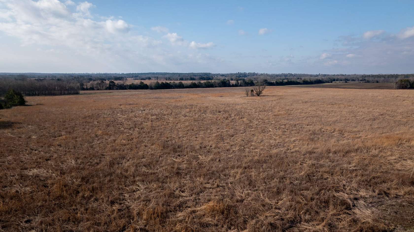 339 Acres of Recreational Land & Farm for Sale in Crawford, Mississippi