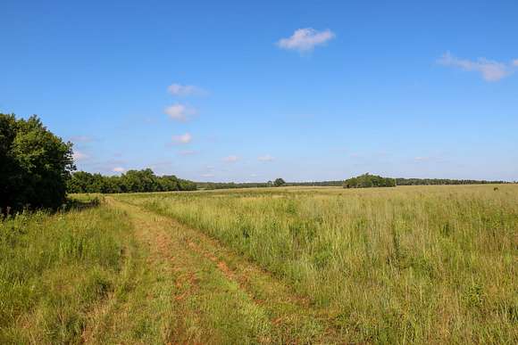 338.5 Acres of Recreational Land & Farm for Sale in Crawford, Mississippi