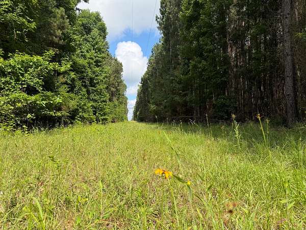 120 Acres of Recreational Land for Sale in Weldon, Louisiana
