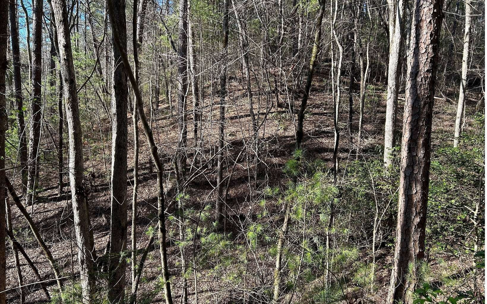 1.18 Acres of Residential Land for Sale in Ellijay, Georgia