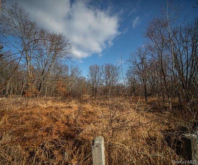 24.2 Acres of Land for Sale in Montgomery, New York