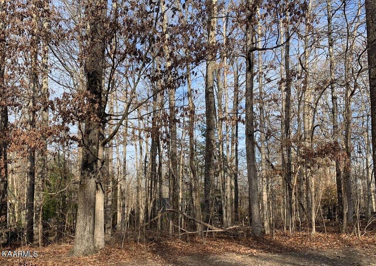 0.24 Acres of Residential Land for Sale in Fairfield Glade, Tennessee