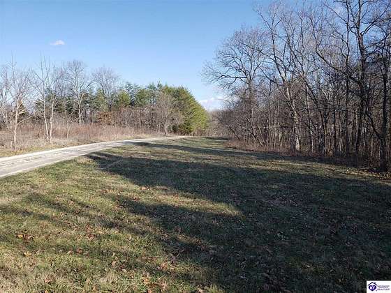 27.3 Acres of Recreational Land for Sale in Irvington, Kentucky