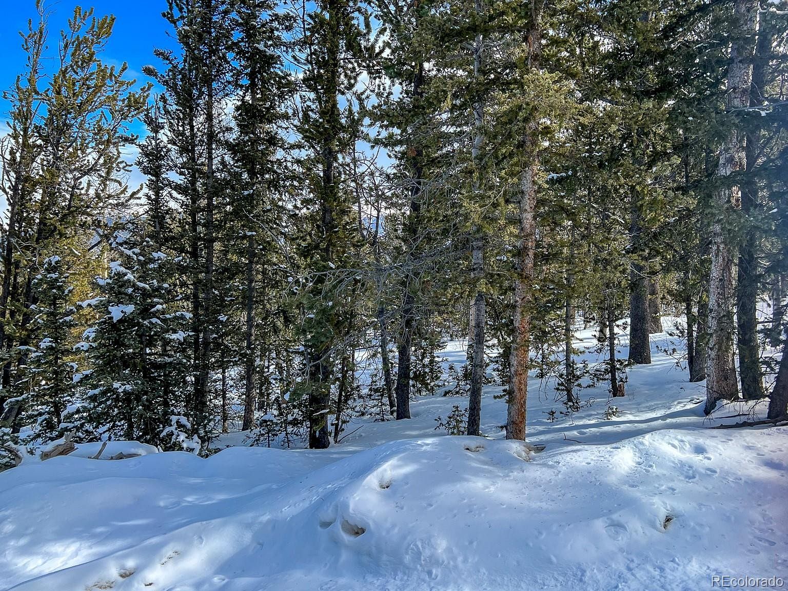 1.5 Acres of Land for Sale in Cripple Creek, Colorado