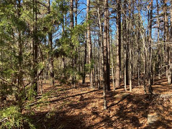 0.5 Acres of Residential Land for Sale in Fairfield Bay, Arkansas