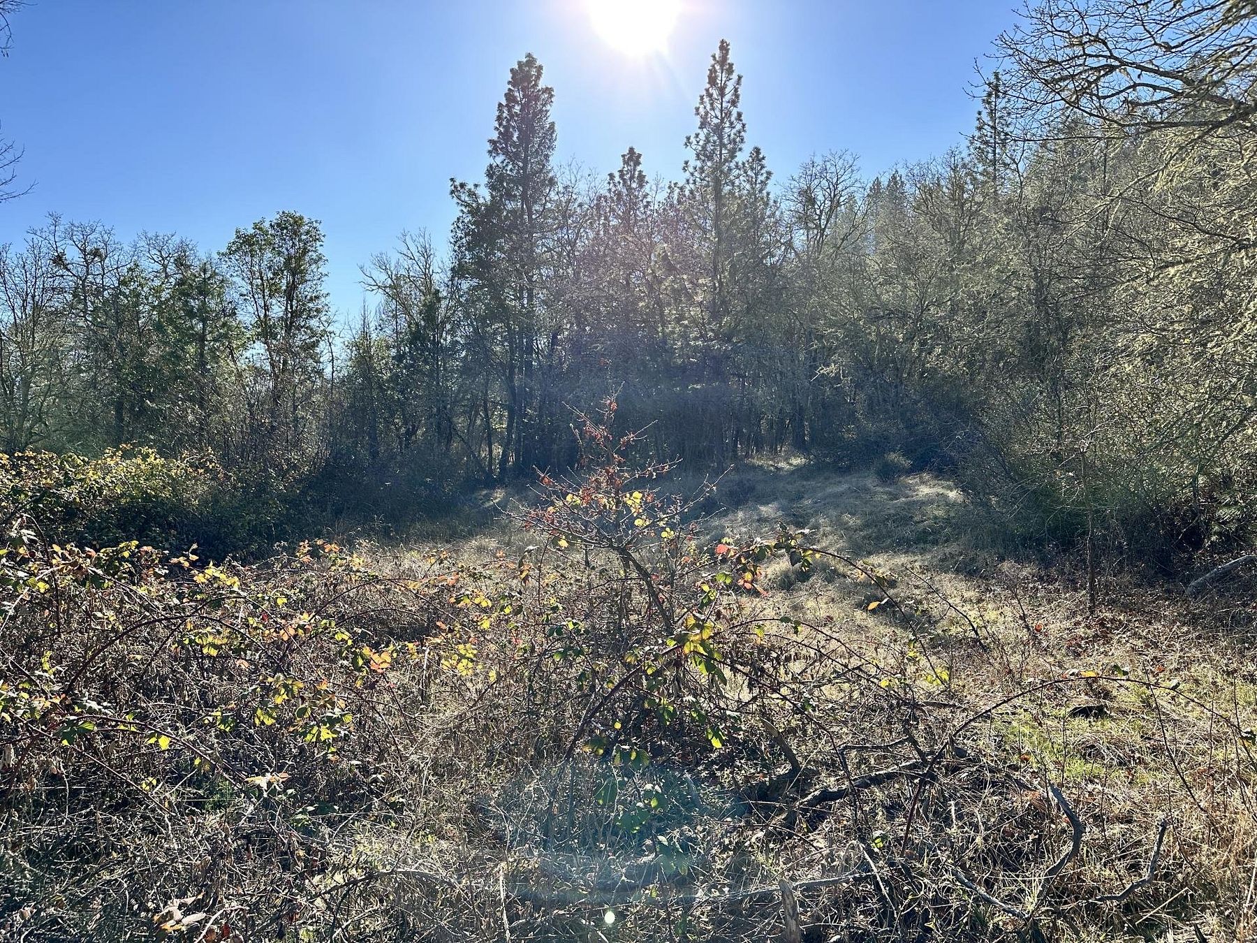 76.8 Acres of Recreational Land for Sale in Williams, Oregon
