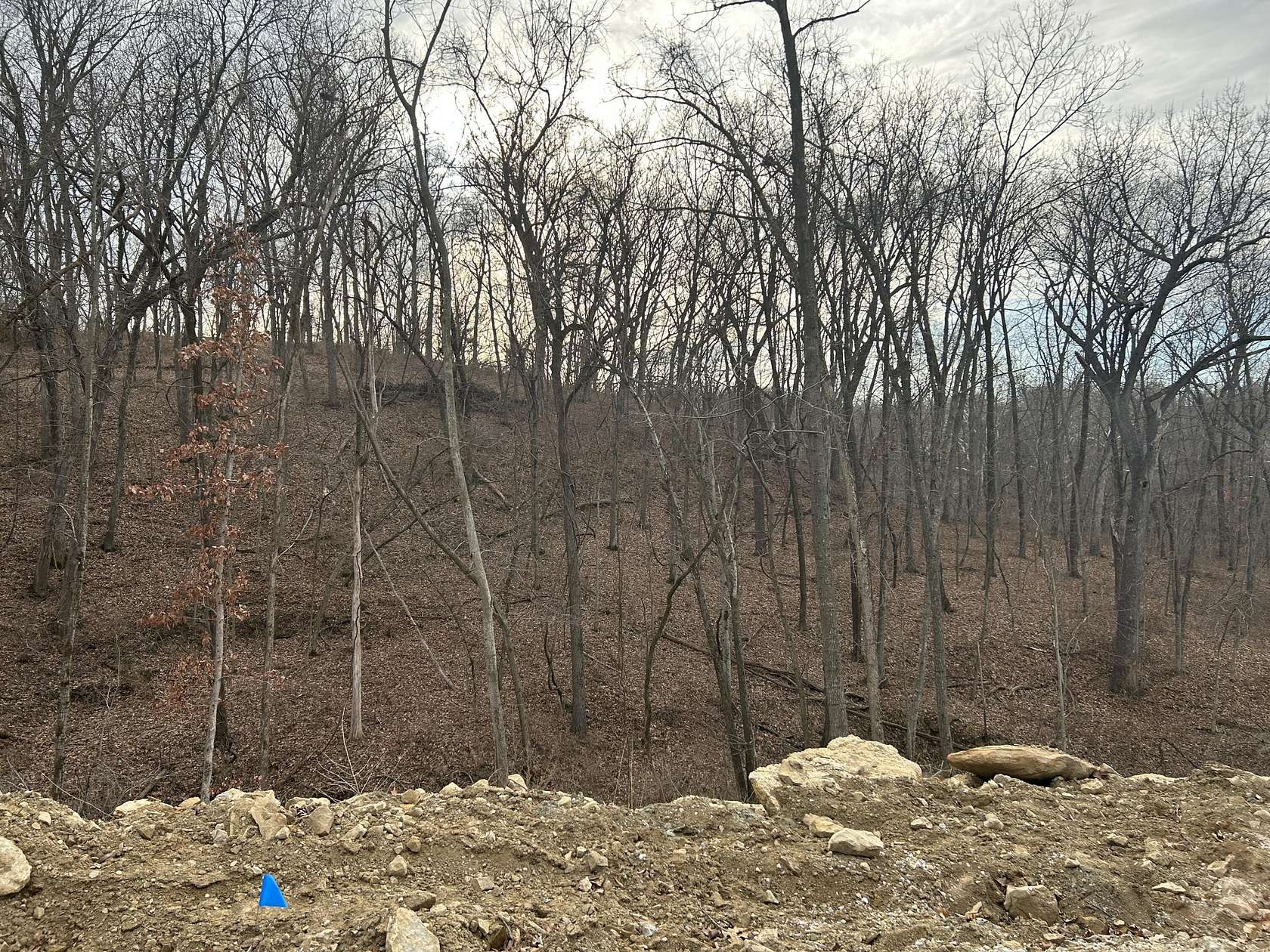 Residential Land for Sale in Boonville, Missouri