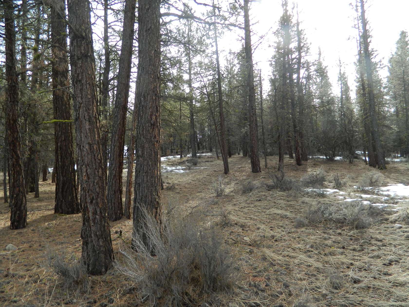 1.6 Acres of Residential Land for Sale in Beatty, Oregon
