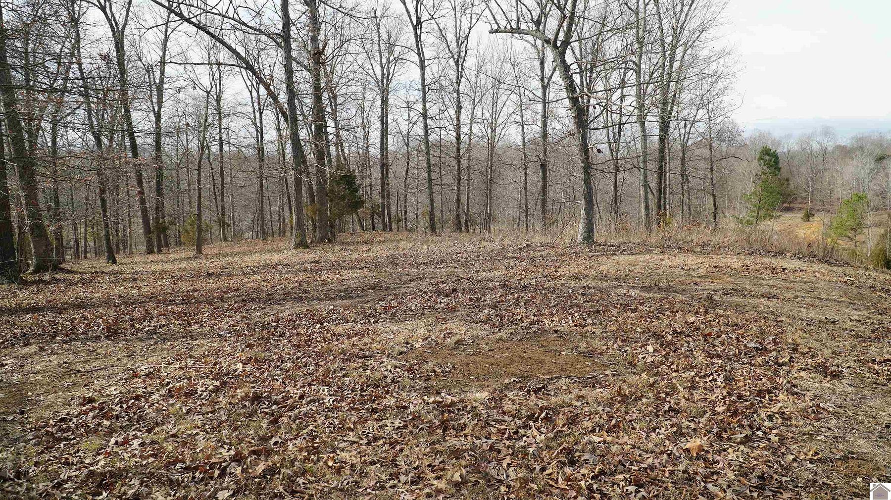 1.6 Acres of Residential Land for Sale in Benton, Kentucky