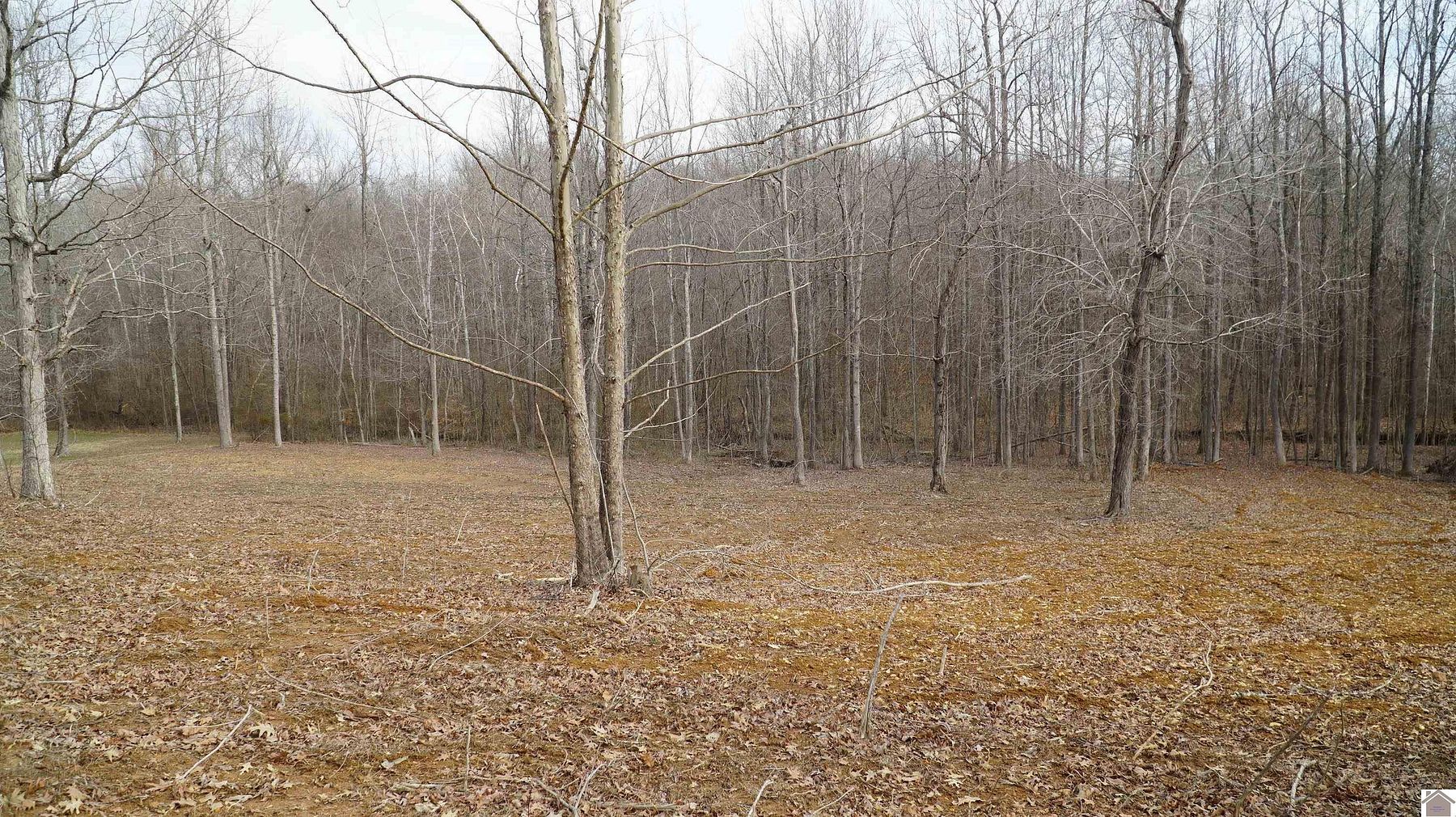 1.6 Acres of Residential Land for Sale in Benton, Kentucky