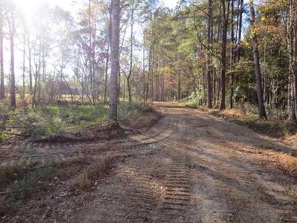 101 Acres of Recreational Land & Farm for Sale in Columbia, Mississippi
