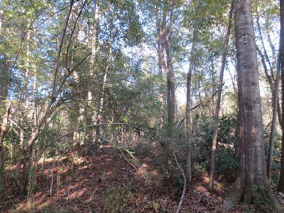 131 Acres of Recreational Land for Sale in Columbia, Mississippi