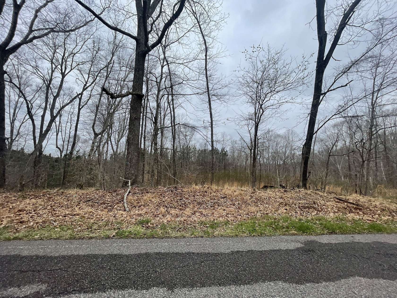 1.9 Acres of Residential Land for Sale in Bumpus Mills, Tennessee
