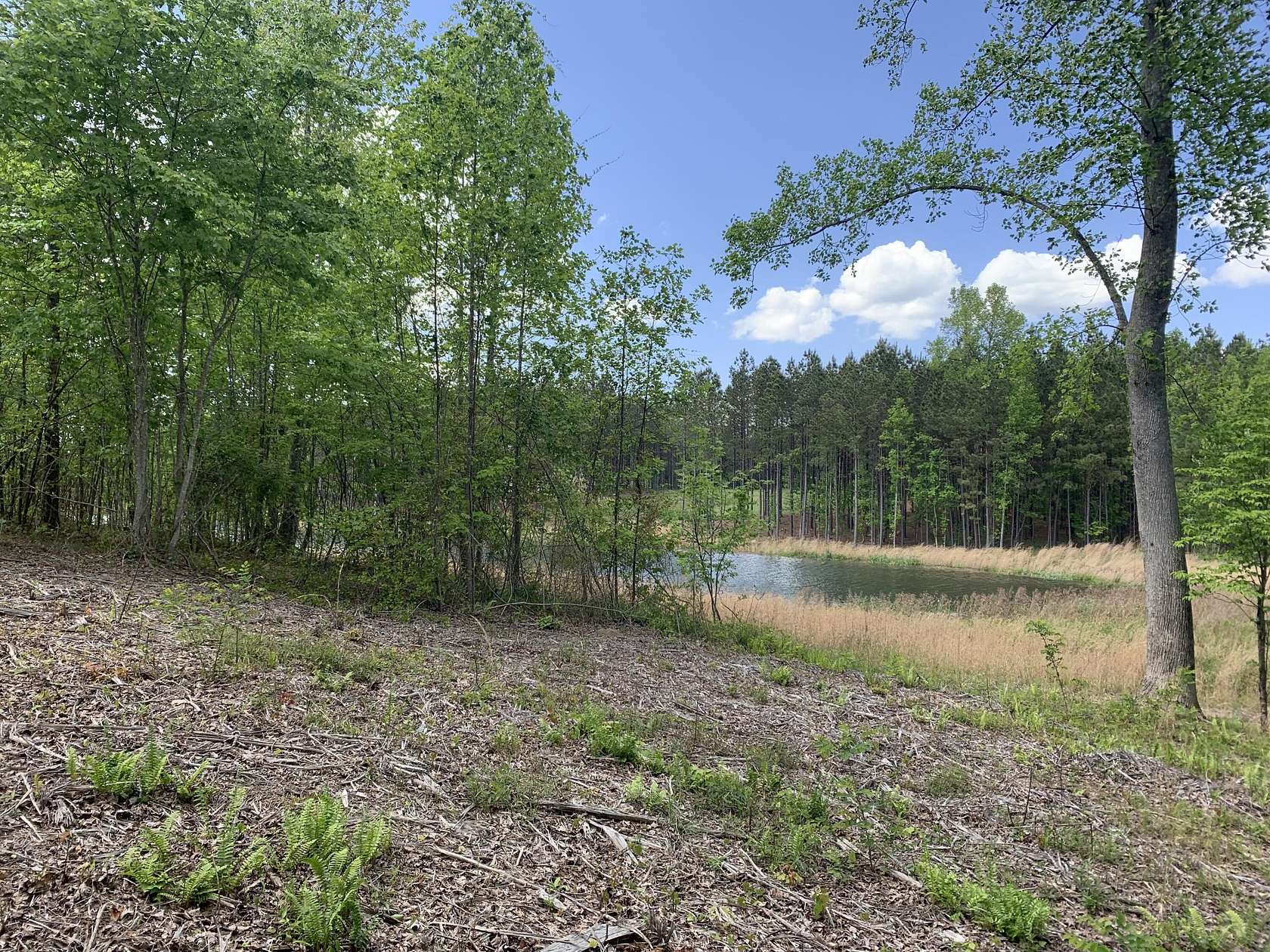 0.95 Acres of Residential Land for Sale in Jasper, Tennessee