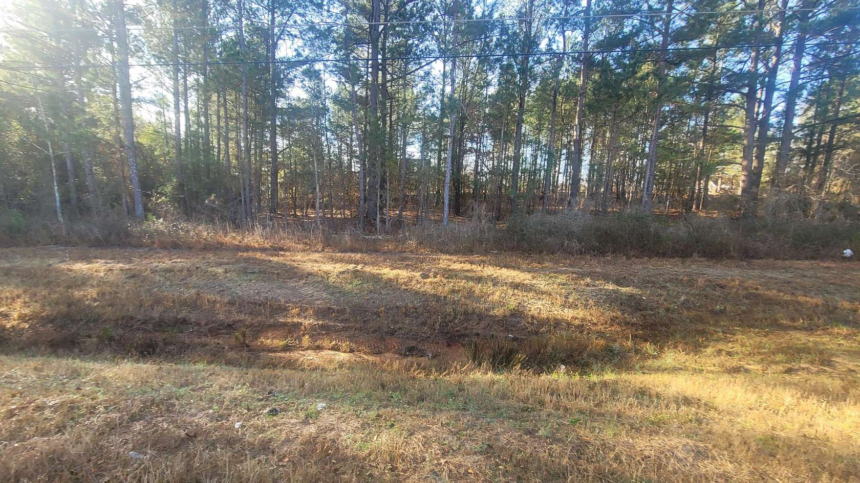 2.1 Acres of Mixed-Use Land for Sale in Waynesboro, Georgia